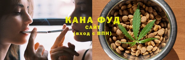 гидра Богданович