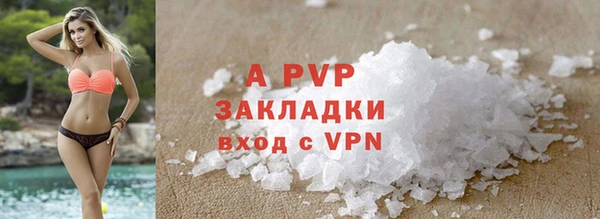 индика Богородск