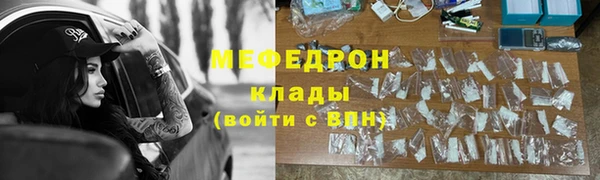 индика Богородск