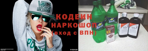 индика Богородск