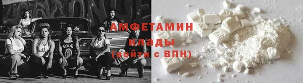 индика Богородск