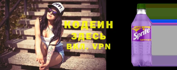 гидра Богданович