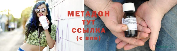 индика Богородск