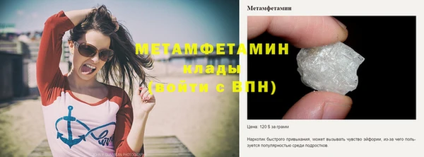 индика Богородск
