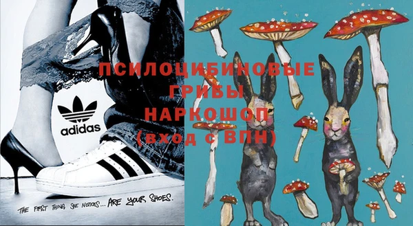 a pvp Богородицк