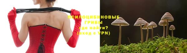 кристаллы Белокуриха