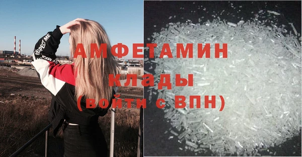 индика Богородск
