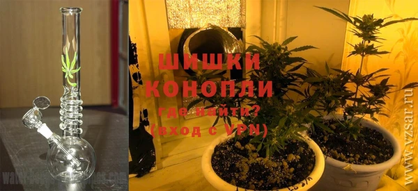 гидра Богданович