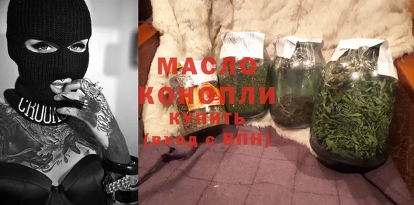 индика Богородск
