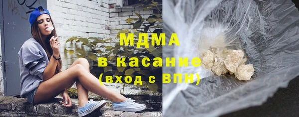 индика Богородск