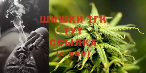 индика Богородск