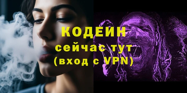 гидра Богданович