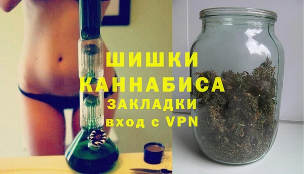 гидра Богданович