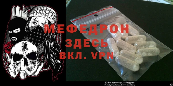 индика Богородск