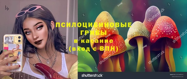 гидра Богданович