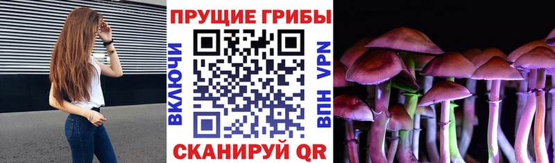 кракен ТОР  купить наркотик  Кораблино  Псилоцибиновые грибы GOLDEN TEACHER 